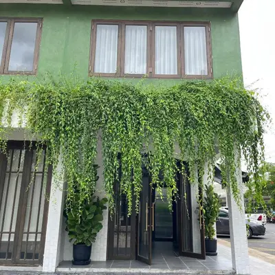 a green building with a bunch of plants on it at Homie Non - โฮมมี่ นนท์ in Ban Bang Khwang