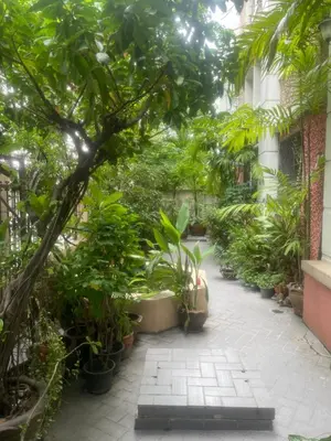 a courtyard of a greenhouse with plants and trees at Viriyapon2 in Bangkok