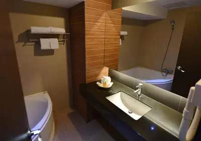 a bathroom with a sink and a toilet and a tub at Bangkok City Hotel in Bangkok