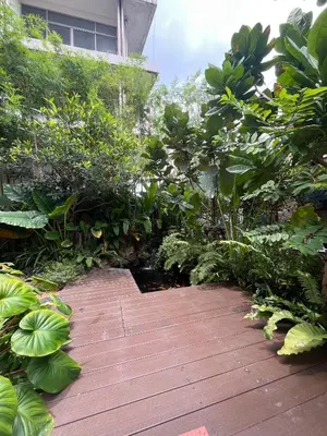 a walkway through a garden with plants and trees at Bonita House in Bangkok