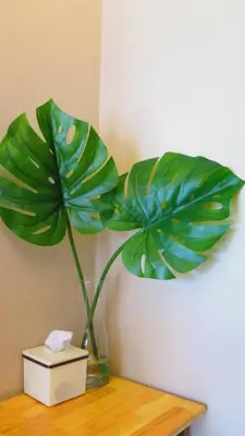 a green plant in a vase on a table at Fall Asleep hotel in Nonthaburi