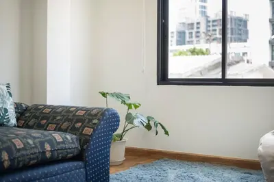 a living room with a blue couch and a plant at MIQ Ekkamai3_Pool Villa_3BR house in Bangkok