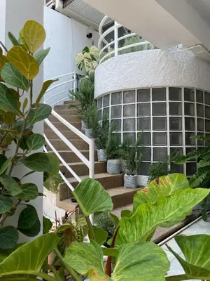 a staircase leading to a building with plants at MIDNIGHT CREPES Homecafe/Lifestyle Studio in Ban Bang Toei (1)