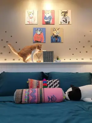 a cat standing on a shelf above a blue couch at Double Studio, Private Bath & Balcony, Shared Kitchen with Local Family by Pillows & Purrs in Bangkok