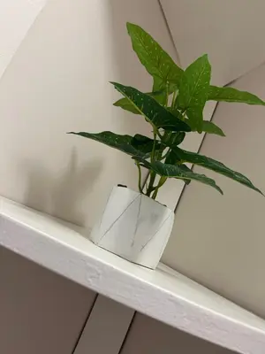 a plant in a white vase sitting on a shelf at OP Open View เมืองทอง T12 impact muang thong thani in Ban Bang Phang