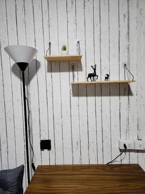 two shelves on a wall with two cats on them at 201-Olan Place Homely room Free Wi-Fi and Near BTS line in Bangkok