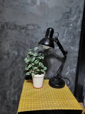 a desk with a lamp and a potted plant on it at auntythong house in Bangkok