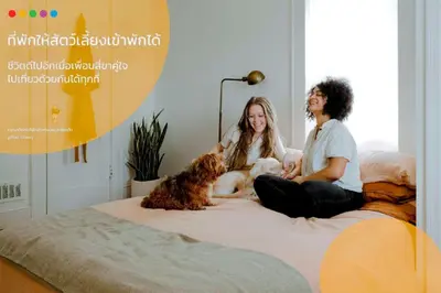two people sitting on a bed with a dog at Kamin Bird Hostel in Bangkok