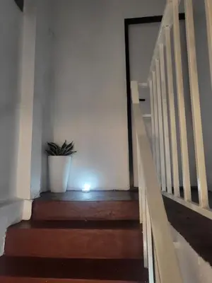 a stairwell with a plant in a pot on it at Aunty Thong's House in Bangkok