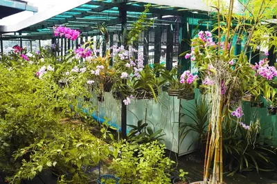 a greenhouse filled with lots of plants and flowers at Kaloang home in Bangkok