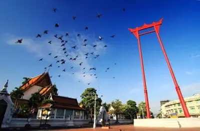 a group of birds are flying in the sky at XX GO INN Khaosan Road BKK โกอินน์ ตรอกข้าวสาร in Bangkok