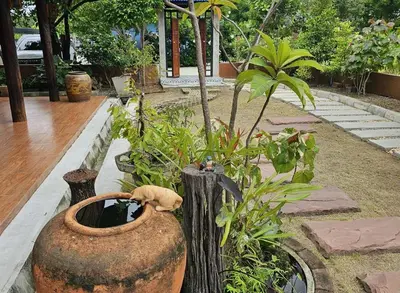 a garden with a large vase and some plants at Nipatra Homestay in Ban Khlong Bang Sai