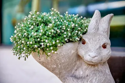 a statue of a rabbit holding a flower arrangement at The rabbit's hole hostel in Bangkok