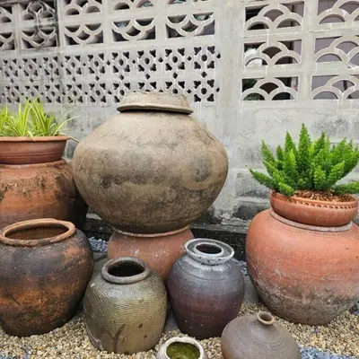 a group of vases sitting on the ground with plants in them at Thairin House Old town BKK in Dusit