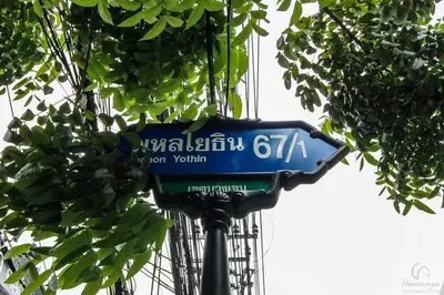 a blue street sign sitting under a tree at brown condo Phahon67 in Ban Chuat Plai Mai