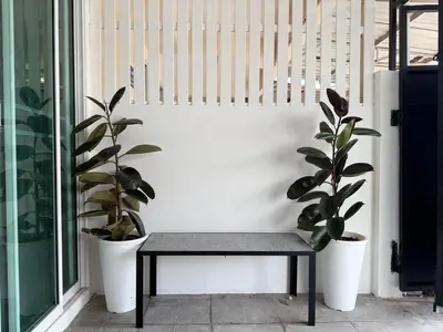 a bench with two potted plants next to a wall at 10MIN \u66fc\u8c37\u72ec\u680bChatuchack,Kasetsart\u7cbe\u54c1\u522b\u5885 MYSTORY HOUSE in Bangkok
