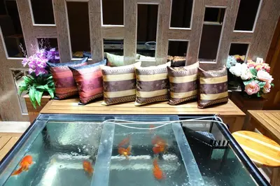 a row of pillows sitting on a table next to a pond at Tanee Place in Bangkok