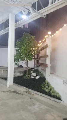 a tree in a courtyard with lights on a building at Squirrel House in Bang Rak