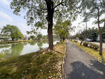 a tree on the side of a road next to a river at Human Touch Room - Soulful Bangkok Hideout in Lat Krabang