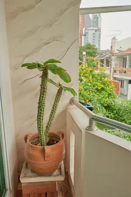 a plant in a pot sitting on a window sill at Low-Rise House for Groups Near BTS & EmDistrict For Spacious Cozy Stay in Bangkok