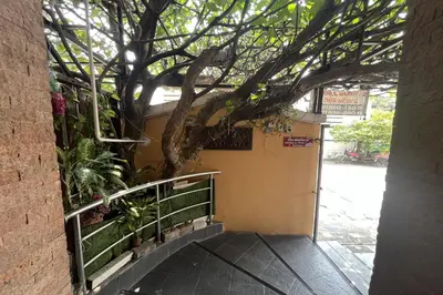 a tree on the side of a building with a staircase at Green Place 107 in Bangkok