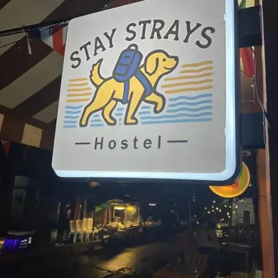 Stay Strays Hostel
