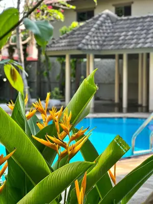 a plant with orange flowers next to a swimming pool at 5BR Villa with Private Pool Sukhumvit 10mins BTS in Bangkok