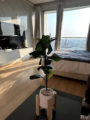 a potted plant sitting on a table in a bedroom at Sky Residence in Ekkamai in Bangkok
