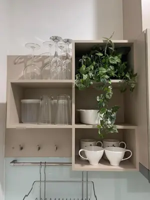 a cabinet with dishes and plants in it at The Elite Club - ThongLor Bangkok in Bangkok
