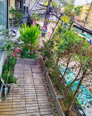 a garden with plants and a wooden walkway at SU SU khaosan hostels in Bangkok