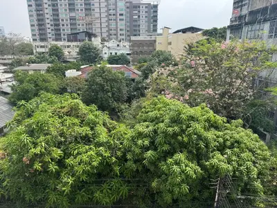 a group of trees in a city with buildings at 3789 Elevator Villa in Bangkok