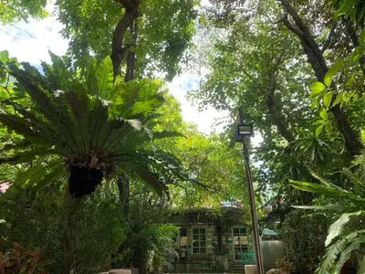 a plant hanging from a pole in a garden at Ruennakornin Homestay in Ban Bang Muang