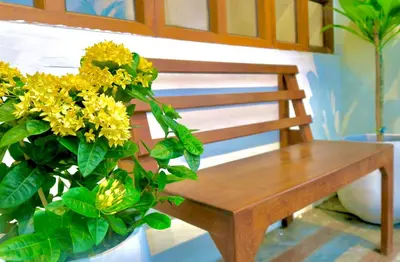 a wooden bench next to a plant with yellow flowers at Les Fleurs Bangkok Hostel in Bangkok