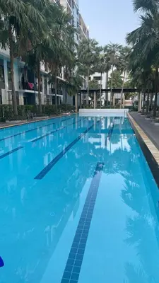 a large swimming pool with blue water and palm trees at Cozy Entire Apartment place in Ban Khlong Samrong