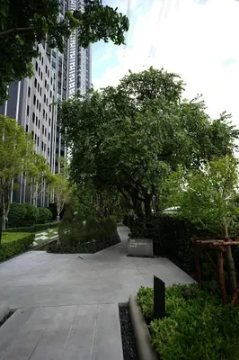a park in a city with a tree and buildings at Life Ladprao 2 bedrooms condo in Bangkok