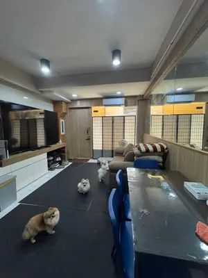two dogs laying on the floor in a living room at WannaB Hostel in Khlong San