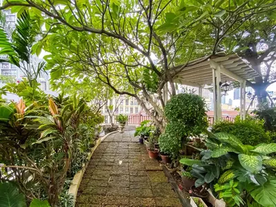 a walkway through a garden with plants at Luxurious 2BR Ultra Fast Wifi Phrom Phong in Bangkok