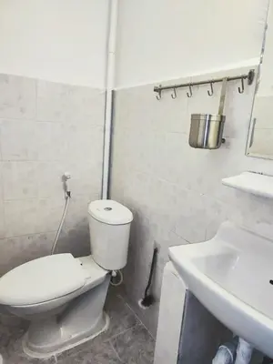 a bathroom with a toilet and a sink at Tropical Apartments 1 No Stairs easy peasy in Bangkok