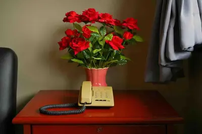 a telephone and a vase of red flowers on a table at Petch Tower Ekamai Budget Serviced Apartments in Bangkok