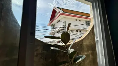 a window with a plant in front of a building at Baan PadSeeEw - Rooftop Riverview 2nd floor in Thonhuri