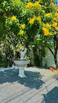 a white vase sitting on the ground under a tree at Bangkok Manor Two\u66fc\u8c37\u8d30\u53f7\u5e84\u56ed in Bangkok