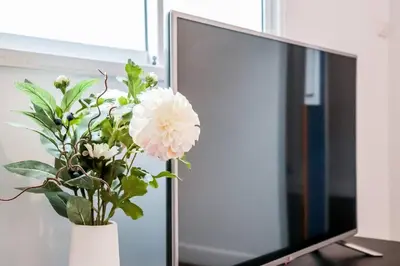 a vase of flowers sitting next to a television at Charming 2-Storey House in Bang Son, Bangkok in Bangkok