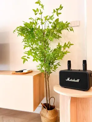 a plant sitting on a table next to a modem at Onsen Wellness Retreat House in Bangkok