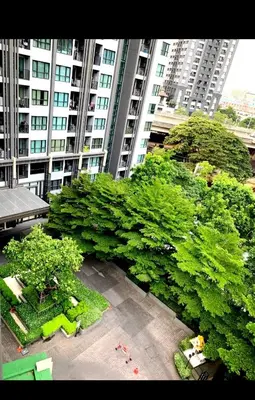 a large group of trees in front of a tall building at Octopus Suite on HighRise, Skytrain, Fast Wifi and AC in Amphoe Phra Khanong
