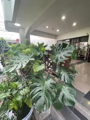 a lobby with lots of plants in a building at Sairin 1 bedroom BTS Udomsuk in Bangna