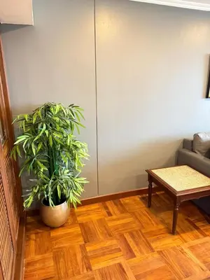 a living room with a plant and a couch at Chic Bangkok Escape & Fast Wifi in Bangkok