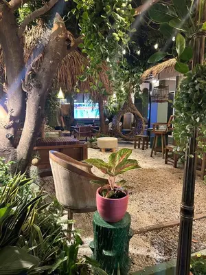 a room with a chair and a potted plant at The oasis on 8 Villa pool table & KTV in Bangkok