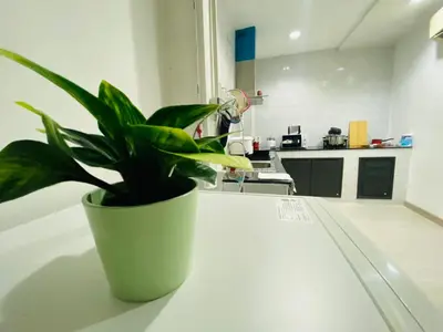 a potted plant sitting on a table in a kitchen at Cozy Nest Near Downtown in Bangkok