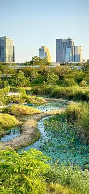 a river in a field with buildings in the background at Omni Tower Sukhumvit Nana - Luxury Condominium in Bangkok
