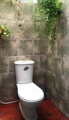 a bathroom with a toilet with a plant on the wall at Shanti Lodge Bangkok in Bangkok